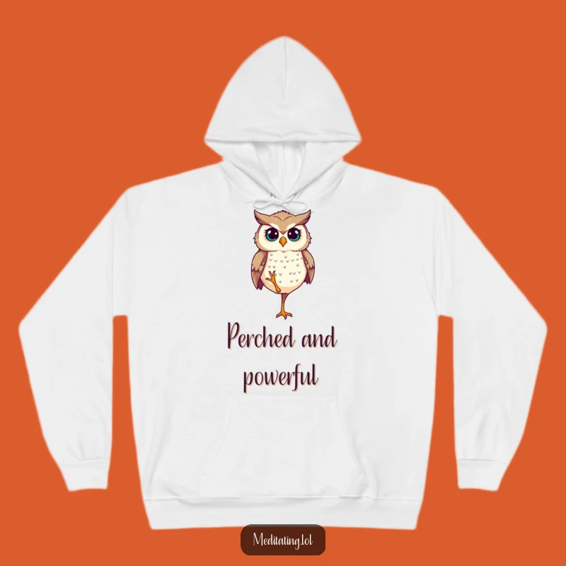 Cozy Funny Determined Owl Balance Hoodie - Warm Stability